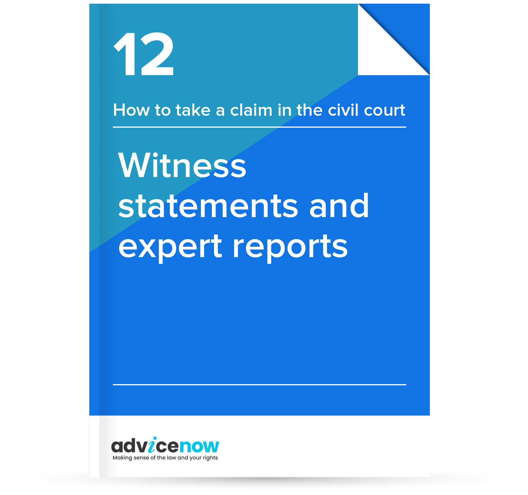 Witness statements and expert reports  Advicenow