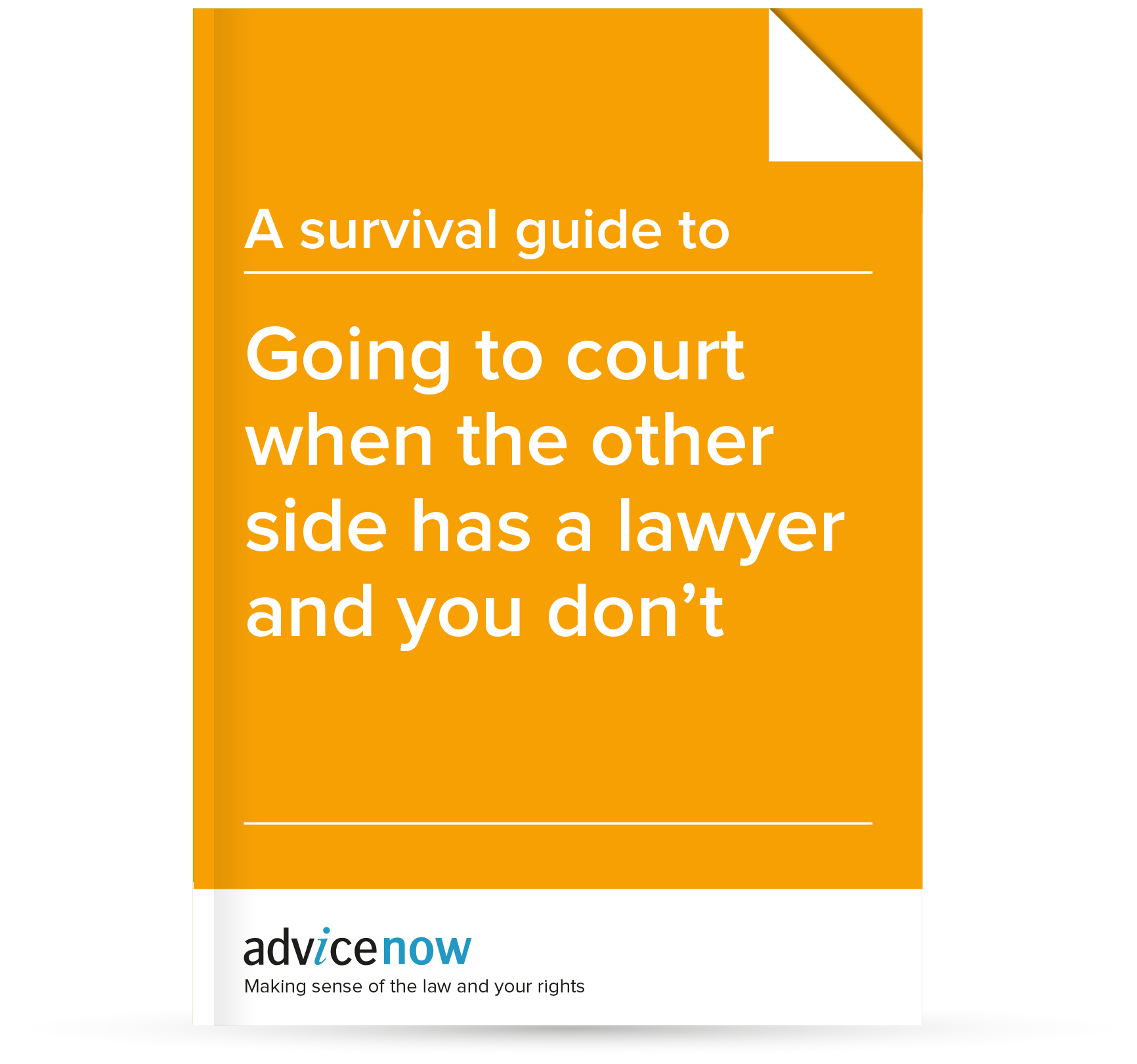 A survival guide to going to court when the other side has a lawyer and