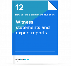 Witness statements and expert reports thumbnail of guide