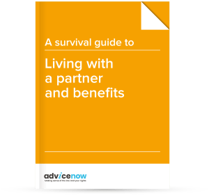 Image of the free download of the Survival Guide to Living with a partner and benefits